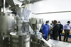 Manufacturing Sector